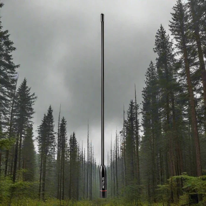 Black, slender antenna.