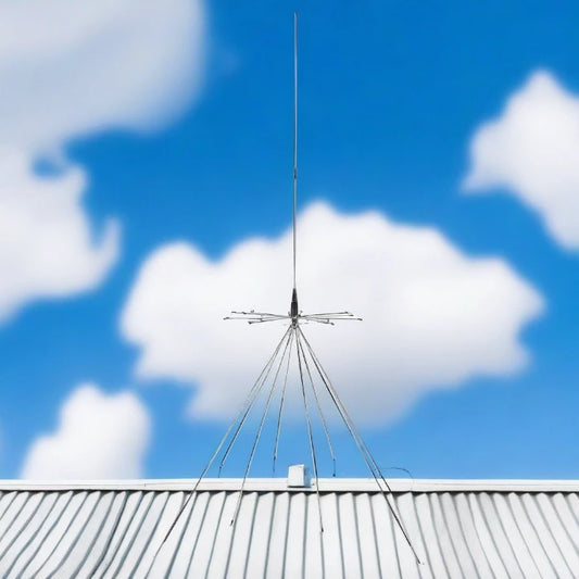 Lightning rod on roof.